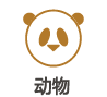 动物