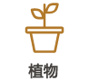 植物